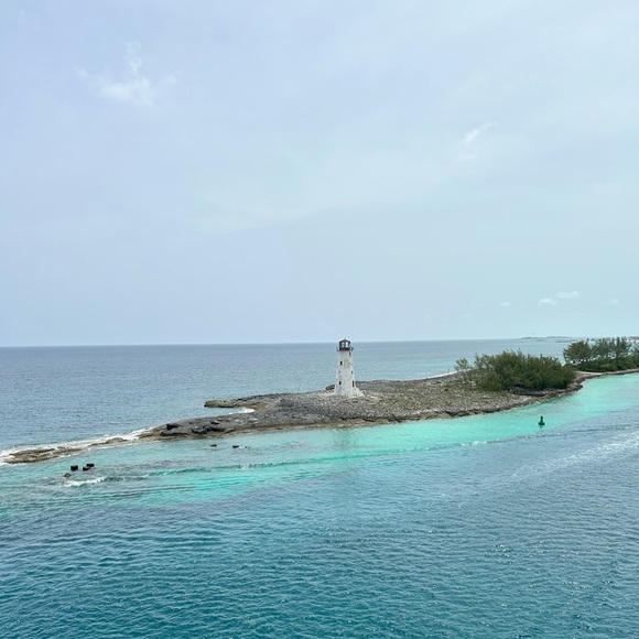 Posh Show!! Like this post to get notified when I go live! - Picture 6 of 11